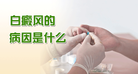 白癜風(fēng)病因
